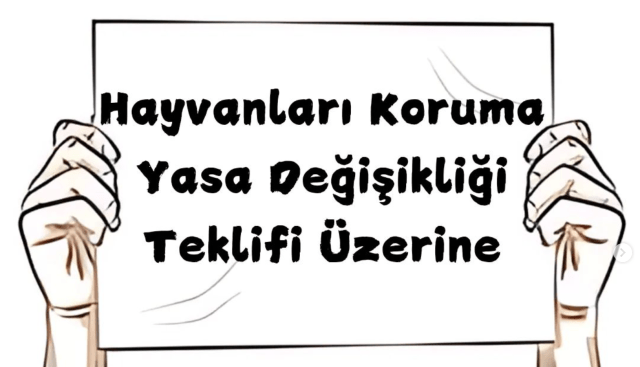 Sokakta Yaşayan Hayvanlarla İlgili Teklif Edilen Kanun Değişikliği Üzerine