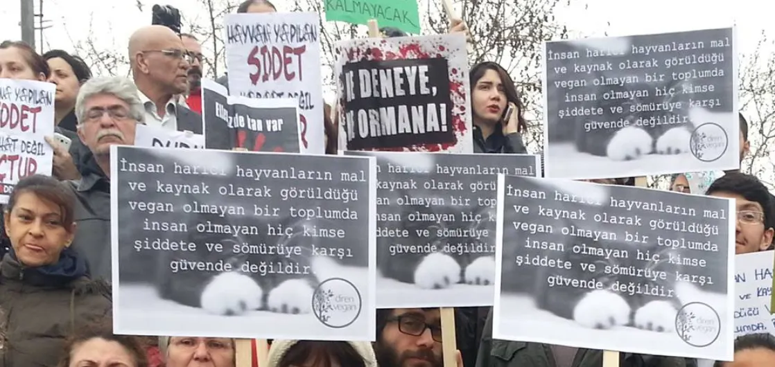Hayvan koruma yasası, nasıl bu noktaya geldi, buradan nereye?