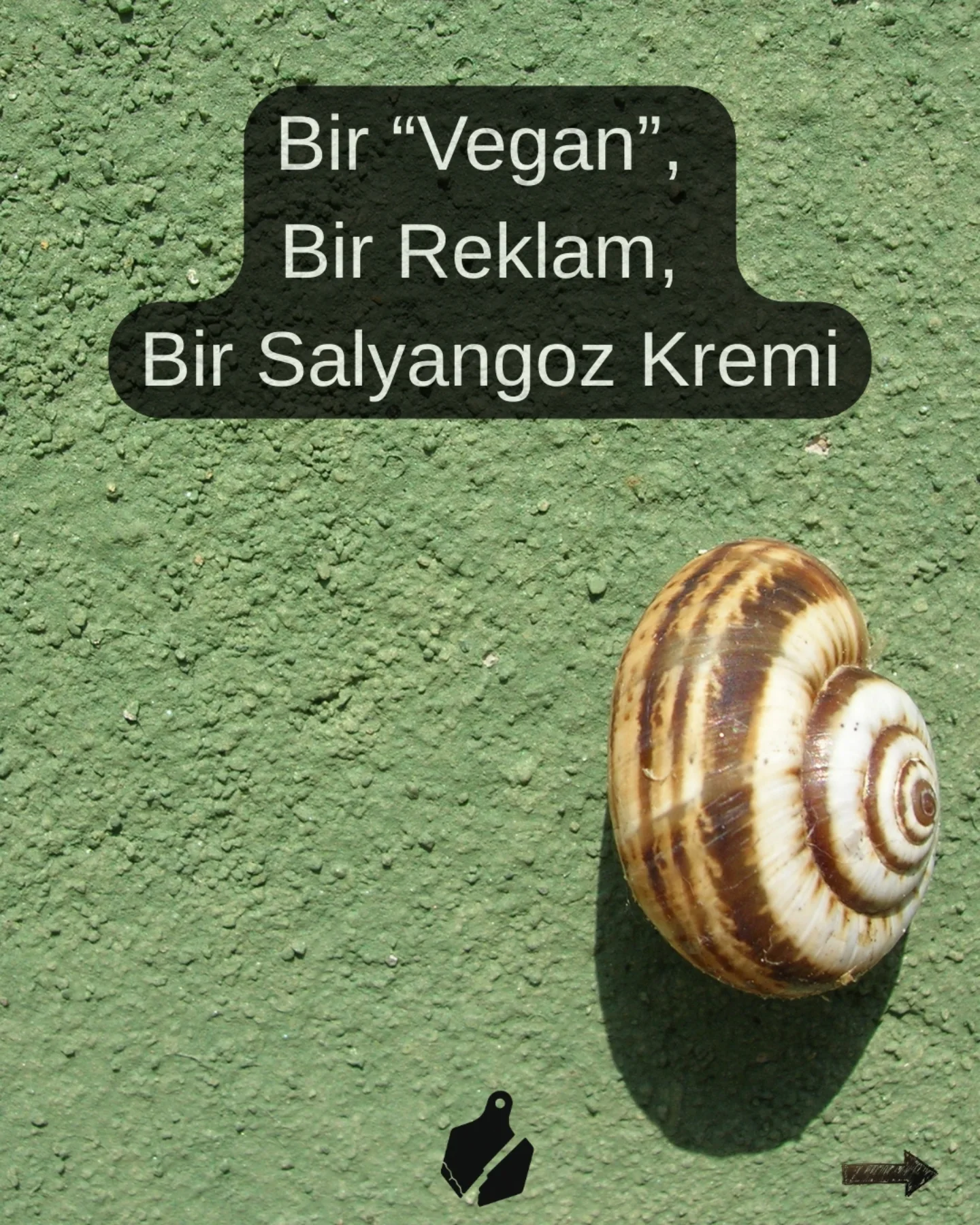 Yeşil duvar üzerinde bir salyangoz ve “Bir Vegan, Bir Reklam, Bir Salyangoz Kremi” başlıklı paylaşım kapağı.